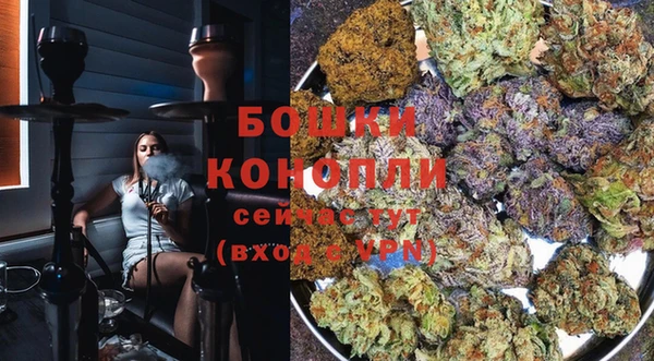 индика Магадан