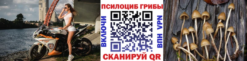 Псилоцибиновые грибы прущие грибы  маркетплейс официальный сайт  Лабытнанги 